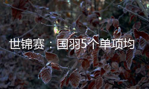 世锦赛:国羽5个单项均实现突围 斩获6张半决赛门票